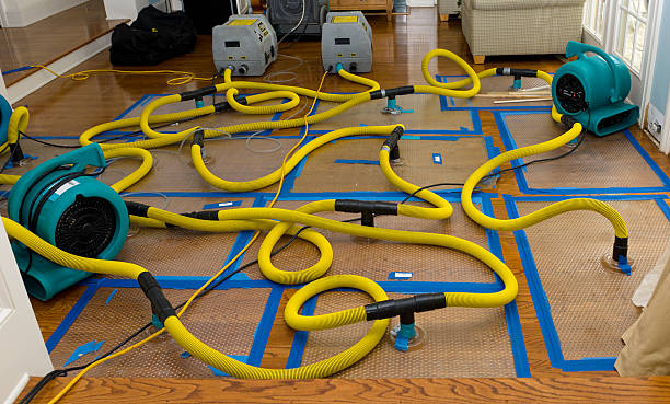 Professional Crawl Space Water Removal technician working in Yelm, WA